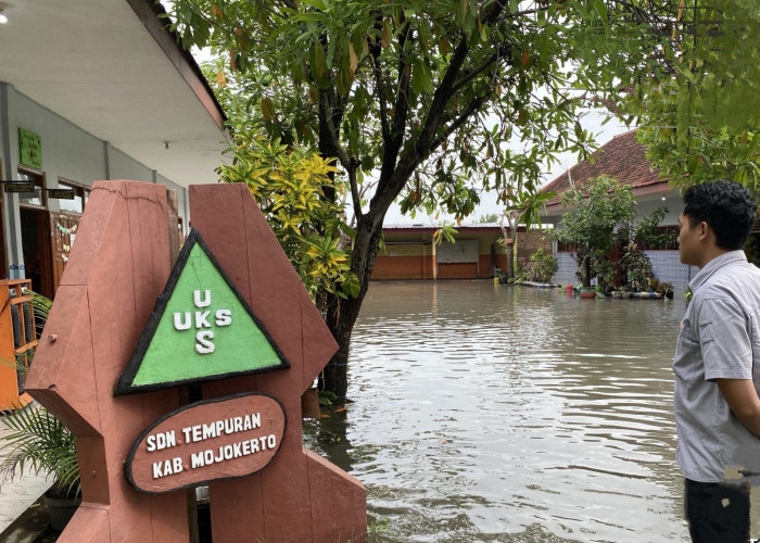  Puluhan Hektare Sawah dan Fasilitas Umum di Desa Tempuran Mojokerto Diterjang Banjir Sungai Avour Jombok