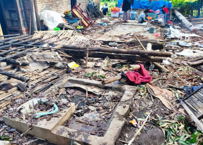 Cuaca Ekstrem, Rumah Warga di Jember Ambruk Tertimpa Pohon Besar