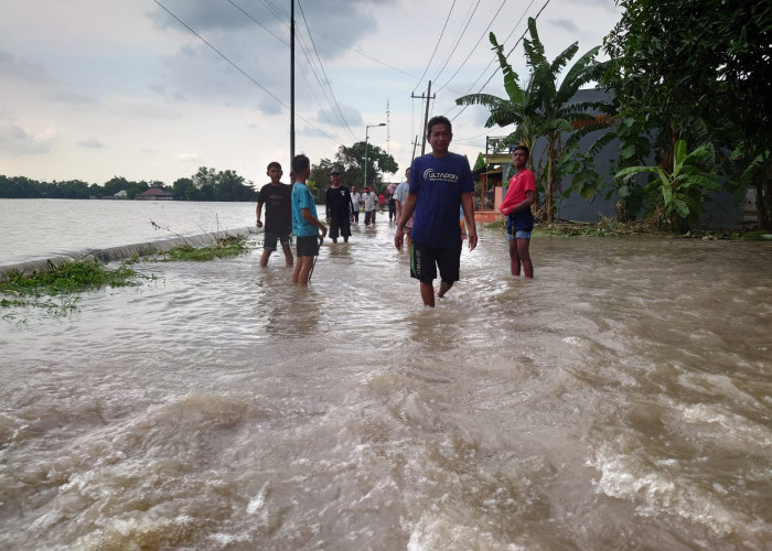 1.200 Jiwa Terdampak Akibat   Banjir di Tujuh Kecamatan Kabupaten Mojokerto