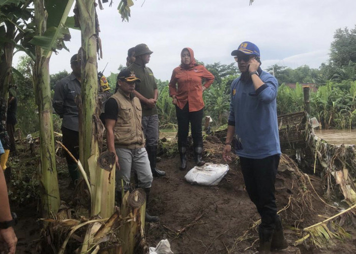 400 KK Terdampak Banjir Akibat Tanggul Jebol di Sambirejo. Bupati Ikfina Langsung Tinjau Lokasi