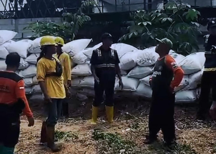 Cegah Kecelakaan, Benteng Penyelamat di Tikungan Gotekan Mojokerto Kembali Direvitalisasi 