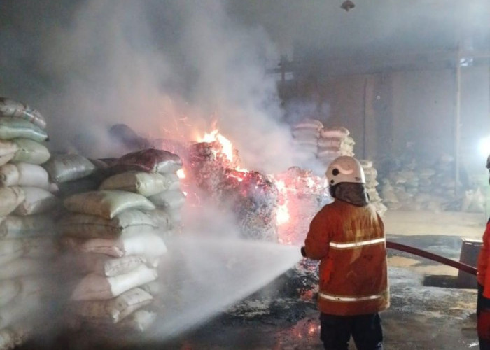 Musim Kemarau Datang, BPBD Mojokerto Siaga Lonjakan Kebakaran dan Angin Kencang