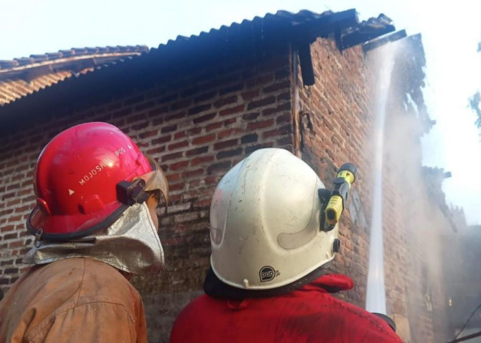 Rumah dan Kandang Kambing di Mojokerto Terbakar, Diduga Korsleting Listrik