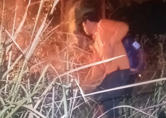 Kebakaran Landa Area 10 Hektare Hutan Produksi di Mojokerto