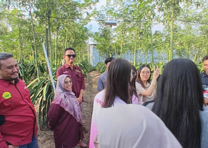 Mahasiswa Thailand Belajar Rantai Pasok Kopi Jawa di Jember, Unej Kenalkan Agribisnis dari Hulu hingga Hilir
