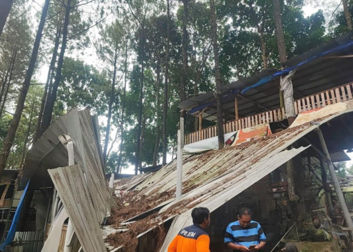 Pohon Tumbang Timpa Warung di Trawas Mojokerto