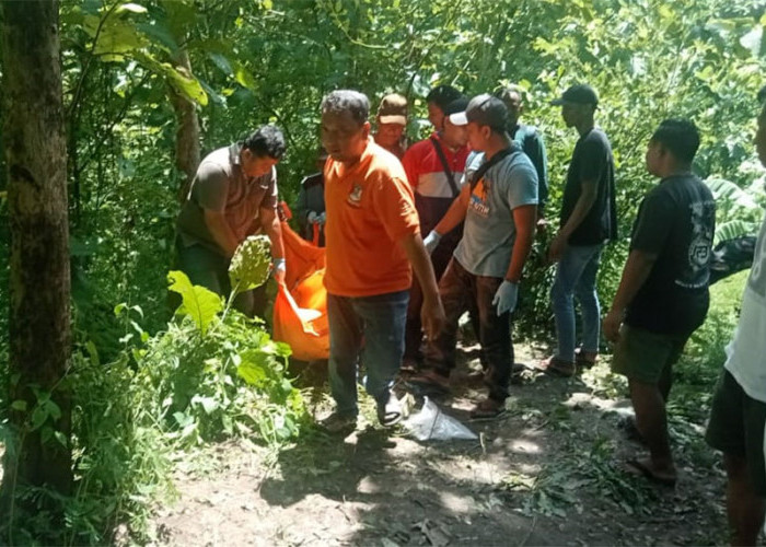 Jasad Pria Ditemukan di Hutan Randualas, Jombang