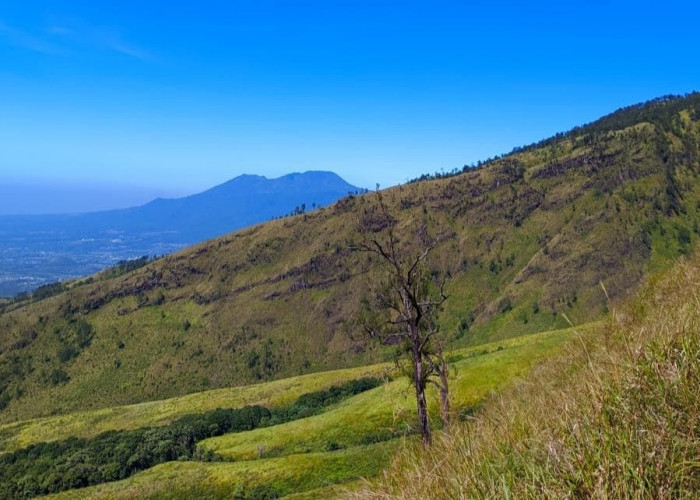 Bukit Lincing, Jalur Santai di Kaki Arjuno