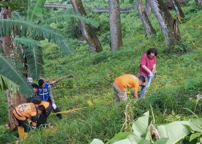 Terduga Pelaku Mutilasi di Jurang Pacet Mojokerto Akhirnya Diringkus Polisi