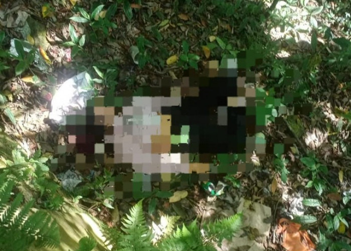 Terungkap! Jasad Wanita di Hutan Pacet Mojokerto Ternyata Warga Kediri