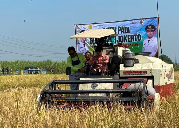 Pemkab Mojokerto Salurkan Alsintan dan Benih Jagung, Dorong Produktivitas Pertanian di Tengah Tantangan Iklim