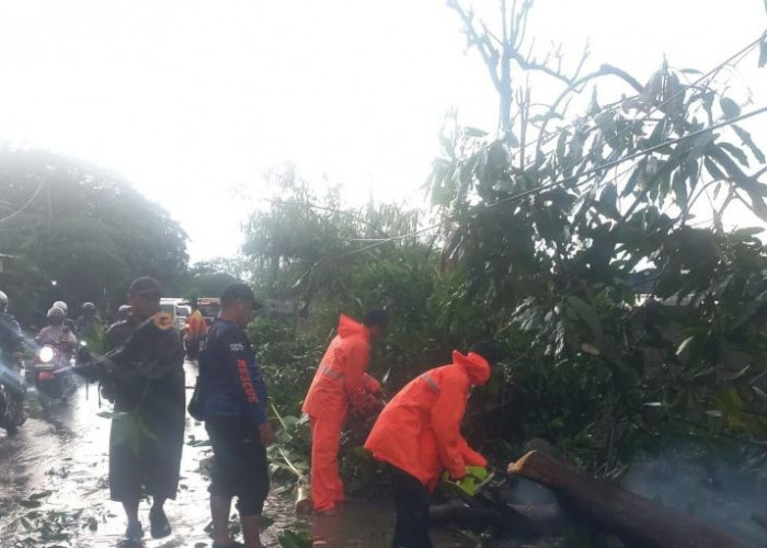 Hujan dan Angin Kencang Rusak 14 Rumah di Mojokerto