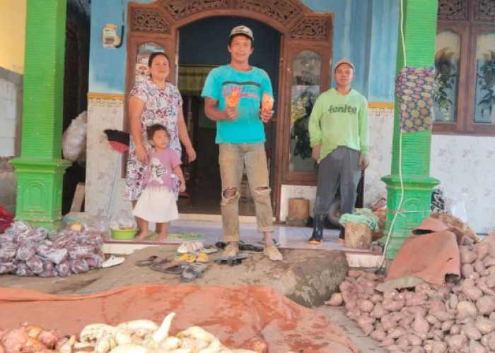 Saat Desa Masih Terlelap, Pedagang Ubi di Gondang Mojokerto Sudah Menyalakan Asa Sejak Tengah Malam