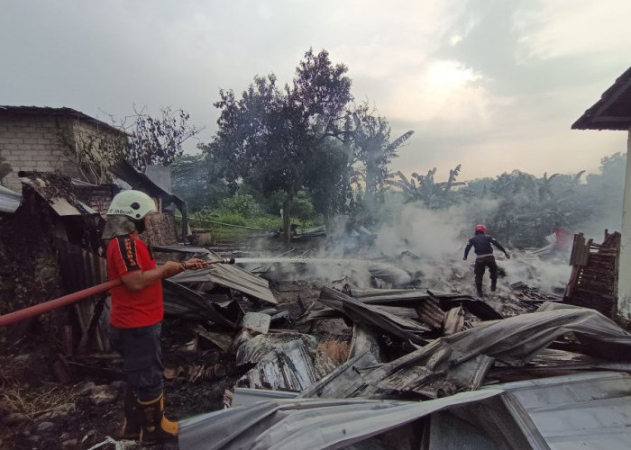 Diduga Korsleting Listrik, Warung Makan dan Kopi di Mojosari Hangus Terbakar