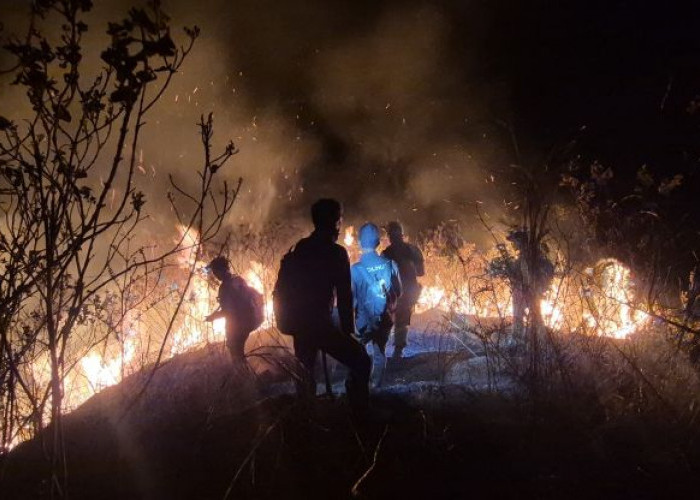 Karhutla di Pegunungan Anjasmoro Mojokerto Padam, 2,5 Hektare Vegetasi Hutan Terbakar