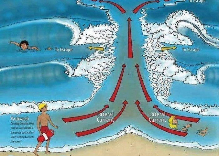 Rip Current,  Ancaman Tersembunyi di Pantai 