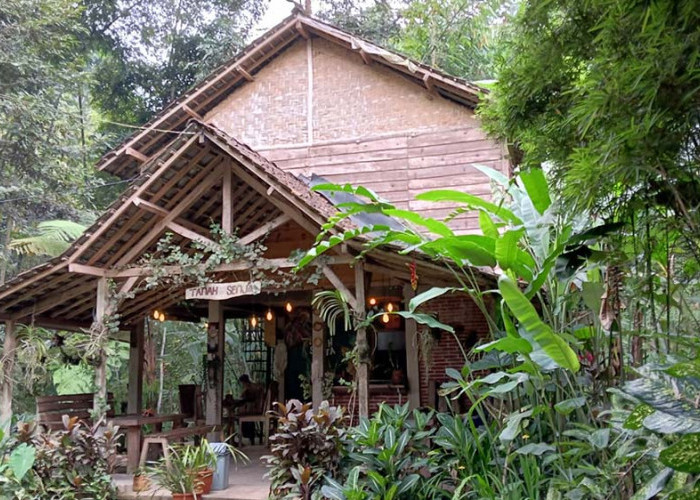 Kedai Tanah Senja di Wonosalam Jombang, Suguhkan Keindahan Alam dengan Konsep Ramah Lingkungan