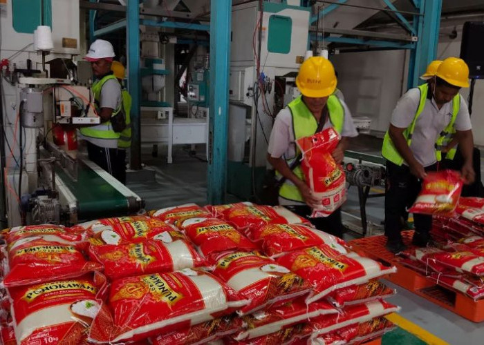 Bulog Serap 4,13 Juta Ton Beras, Pasokan Premium Masih Jadi Tantangan