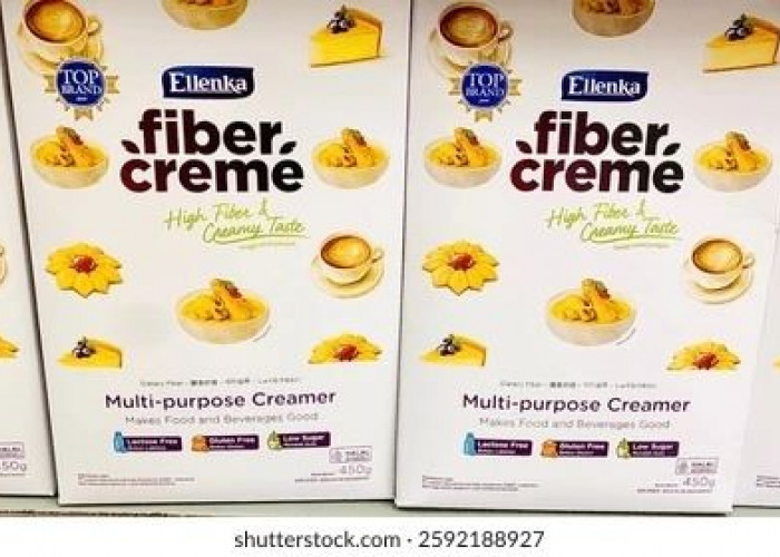 Ingin Masakan Lezat Namun Tetap Sehat, Fiber Creme Solusinya
