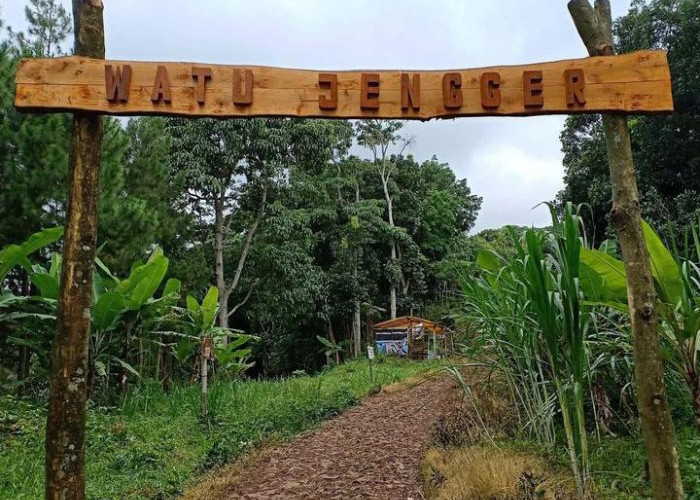 Karhutla Gunung Arjuno-Welirang, Wisata Alam dan Pendakian di Mojokerto Ditutup Sementara
