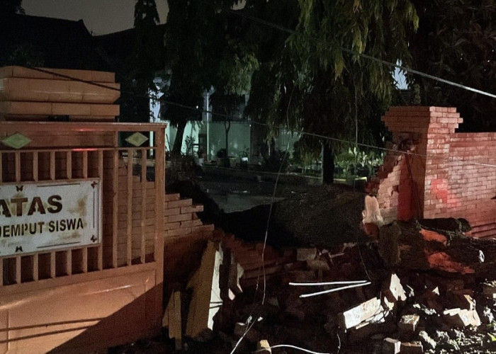 Hujan dan Angin Kencang Tumbangkan Pohon di Dua Kecamatan Mojokerto, Pagar Sekolah Tertimpa Pohon