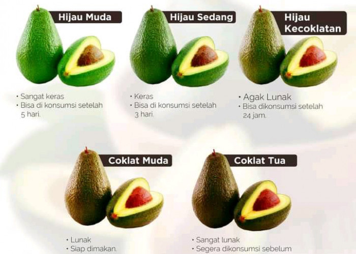 Jangan Sampai Zonk! Begini Cara Memilih Buah yang Manis dan Matang Sempurna