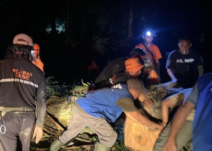 Akses Menuju Petirtaan Jolotundo Sempat Lumpuh Akibat Pohon Tumbang Diterjang Cuaca Ekstrem