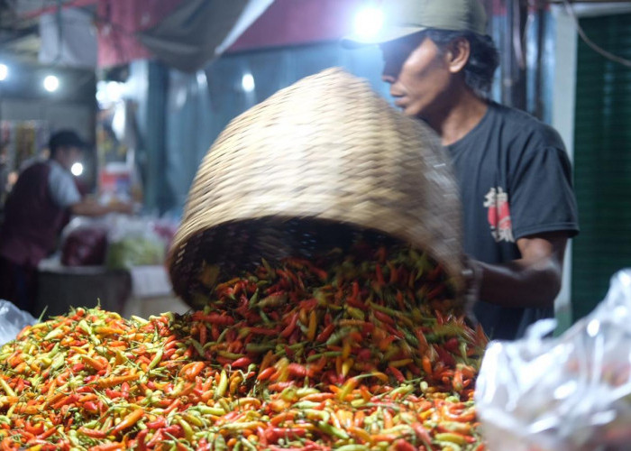 Kenaikan Harga Cabai Rawit Penyumbang Inflasi Tertinggi di Mojokerto pada Juli 2024