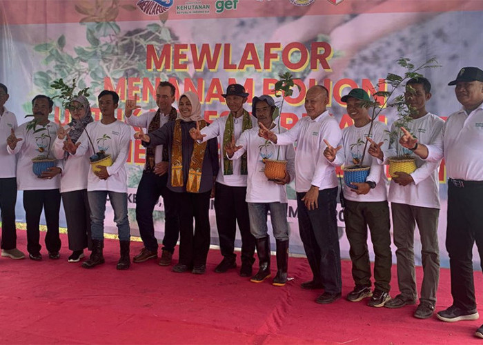 Proyek MEWLAFOR, Kabupaten Mojokerto dapat Hibah Tanam Pohon 250 Hektar   