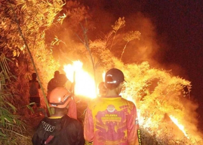Karhutla Landa Kawasan Bukit Jengger Mojokerto, Api Padam Setelah 11 Jam