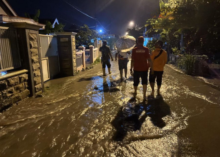 Tanggul di Desa Salen Mojokerto Jebol, Persawahan dan Jalan Tergenang Air