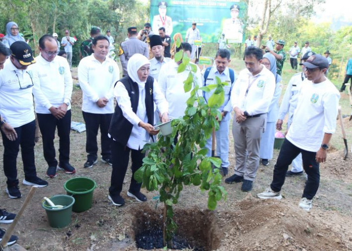 Capaian Transaksi Ekonomi Kehutanan Jatim 2024 Tertinggi Secara Nasional