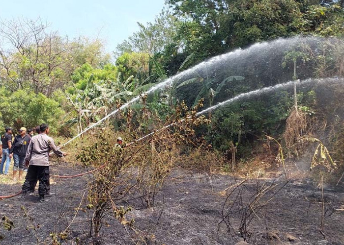 Gudang rosok dan Lahan di Ngoro Mojokerto Terbakar