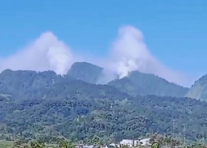 Bukit Cendono Mojokerto Ditutup Sementara Imbas Kebakaran Hutan di Gunung Biru