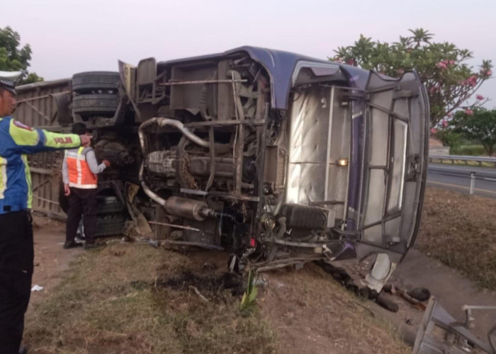 Bus Pariwisata Alami Kecelakaan di Tol Jombang - Mojokerto, Satu Orang Tewas