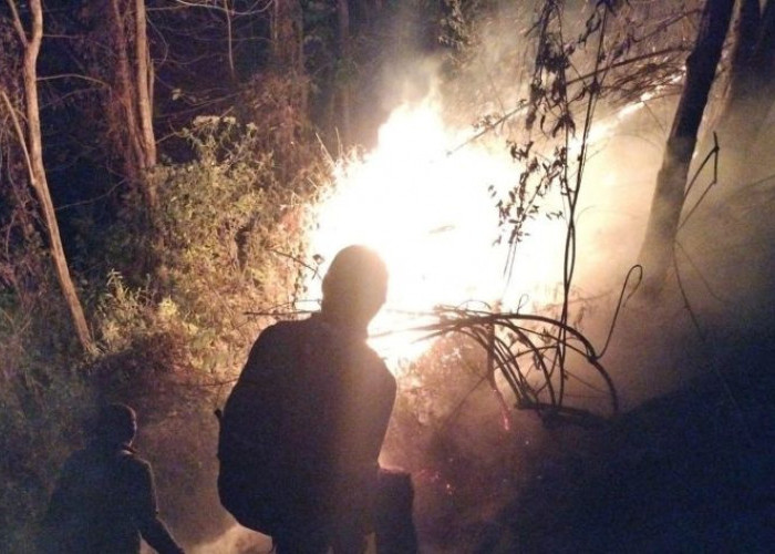 Dalam Sehari, Dua Karhutla Landa Mojokerto, Bukit Semar dan Lereng Penanggungan Terbakar