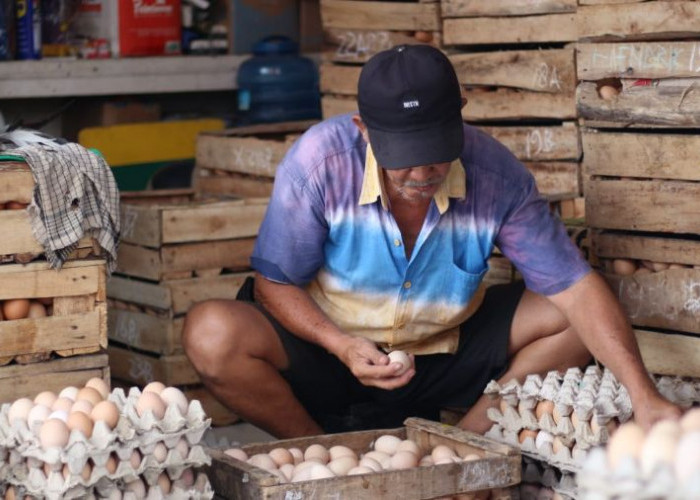 Penurunan Harga Telur Ayam Penyebab Utama Deflasi Mojokerto di Bulan Mei 2026