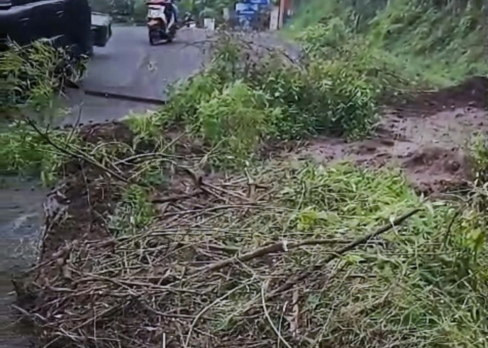 Tanah Ambrol di Trawas Tutup Separuh Jalan Raya, Arus Lalu Lintas Sempat Terganggu