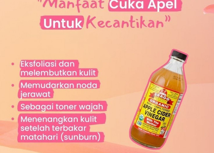 Cuka Apel, Cairan Ajaib dengan Segudang Manfaat Kesehatan 