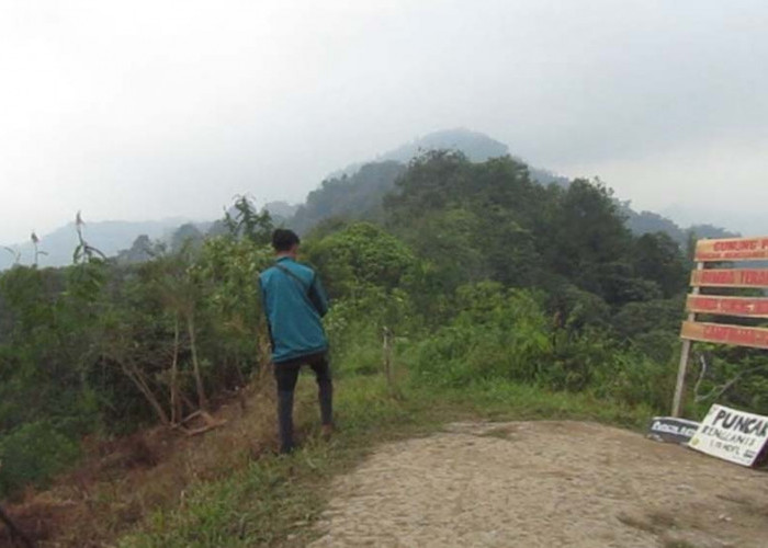 Gunung Pegat, Jalur Pendakian Baru di Mojokerto yang Viral di Medsos