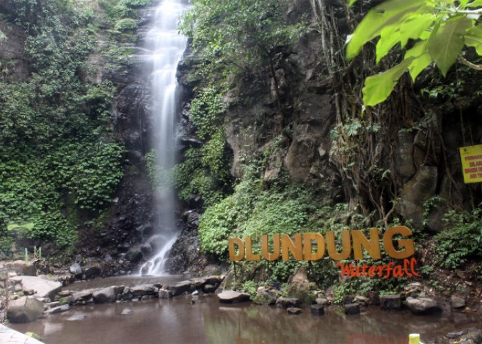 5 Air Terjun di Mojokerto yang Wajib Dikunjungi