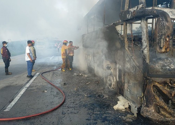 Bus Pahala Kencana Ludes Terbakar di Tol Jombang - Mojokerto