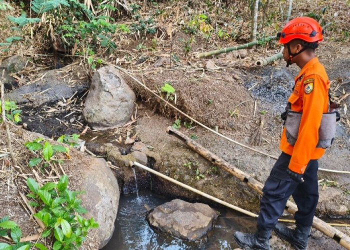 Kemarau di Jember Mencekik, 3.340 KK Krisis Air Bersih! Musala Tutup Kamar Mandi, Bantuan Dikebut