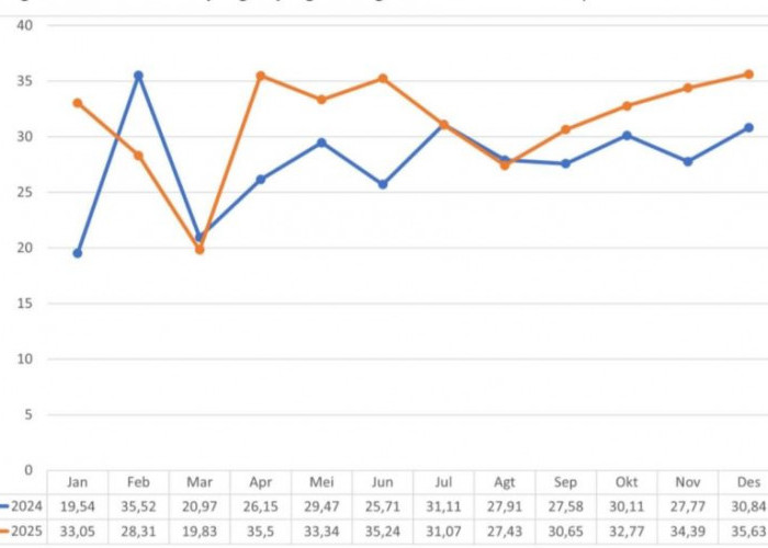 Libur Nataru Picu Lonjakan TPK Hotel di Mojokerto pada Desember 2025