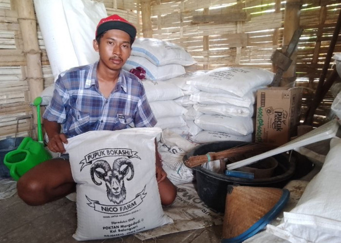 Olah Kotoran Kambing Jadi Pupuk Organik, Pemuda Asal Kota Mojokerto Raup Keuntungan Ekonomi 