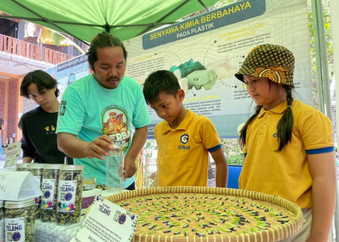 Aktivis Lingkungan Kini Fokus Pemasaran Produk Herbal untuk Dukung Ekonomi Warga di Tengah Krisis Lingkungan