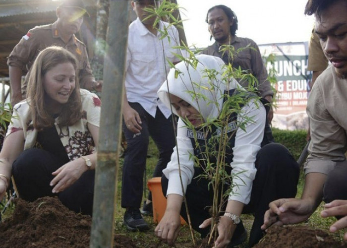 Bupati Ikfina Resmikan Area Sentra Pembibitan Bambu Dan Edukasi Bambu ‘Dr Didik Chusnul Yakin’