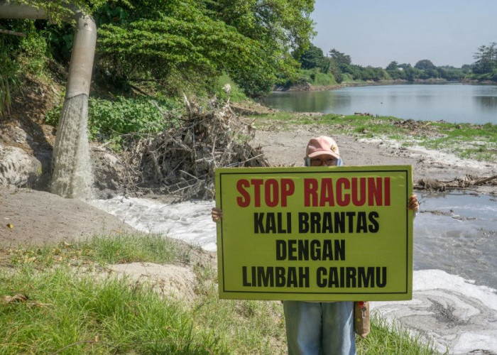 Tim Ronda Sungai Temukan Limbah Industri Mengalir ke Sungai Porong di Mojokerto, Bau Khas Pulp dan Kertas
