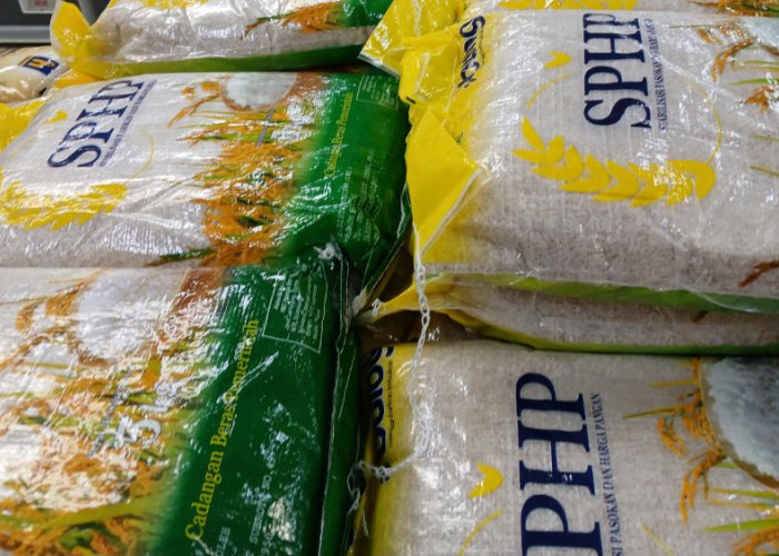 Bulog Mojokerto Siapkan Distribusi Beras SPHP dan MinyaKita untuk 80 Koperasi Merah Putih
