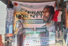 Peduli Gempa NTT, Gabungan Lembaga - Pegiat Kemanusiaan Bentuk Gerakan Persaudaraan, Kemanusiaan, Kebencanaan